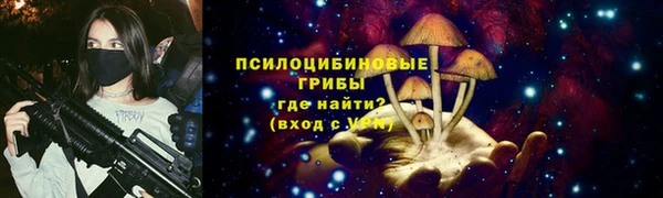 скорость Вяземский