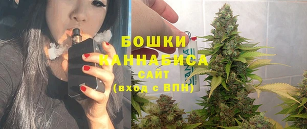 скорость Вяземский