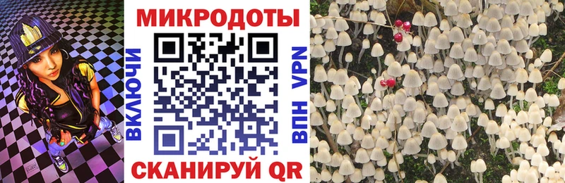 omg зеркало Павловск Псилоцибиновые грибы мицелий